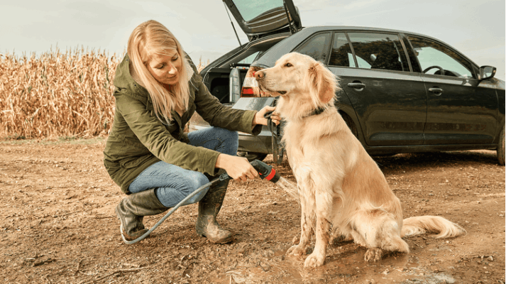 Exemple d'utilisation 5 nettoyeur haute pression Bosch Fontus